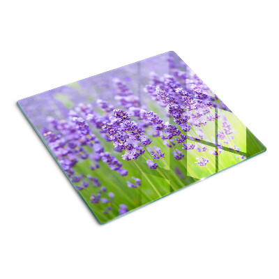 camp-de-lavanda