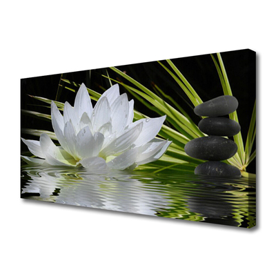 pietrele-de-flori-apa-floral-alb-negru
