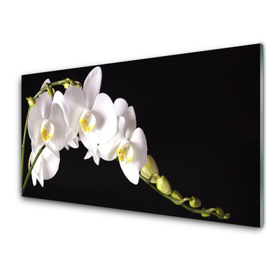 flori-floral-alb