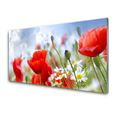 maci-margarete-floral-rosu-galben-alb
